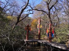 -大青沟风景区