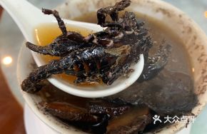Ginseng Scorpion Turtle Stew