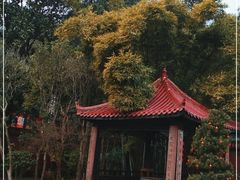 -翠园十八号庭院餐厅