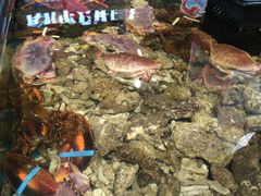 -盒马鲜生(曜一城店)