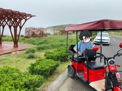 -养马岛旅游度假区