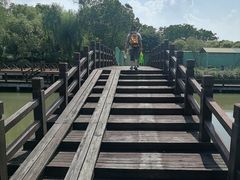 -宏泰园蔬果专业合作社