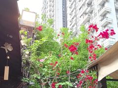 -贰醒·私房小院烧烤 (太古里店)