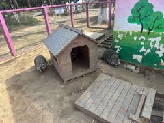 -白马涧龙池景区