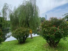-晓港公园
