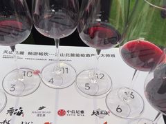-成都尼依格罗酒店