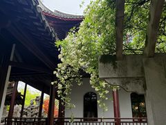 -东湖景区