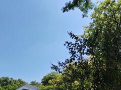 -海珠湖公园