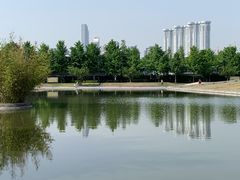 -金陵图书馆