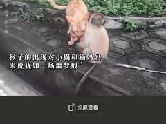 -昆明动物园