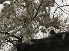 -玲珑塔公园