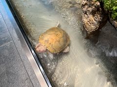 -梅间堂茶馆(绿地缤纷城店)