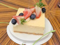-童趣廊·儿童波波池·海洋球(长隆横琴湾酒店)