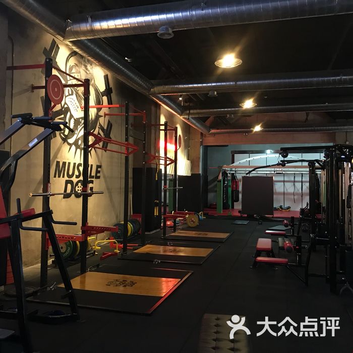 muscle dog综合训练中心图片-北京健身房-大众点评网