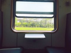 -黎黄陂路街头博物馆