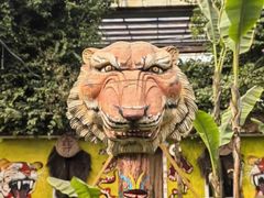 -呀路古热带植物园