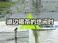-西湖游船