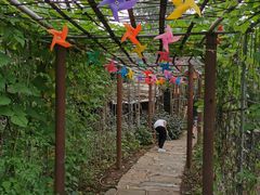 -南窖乡水峪村山情农家