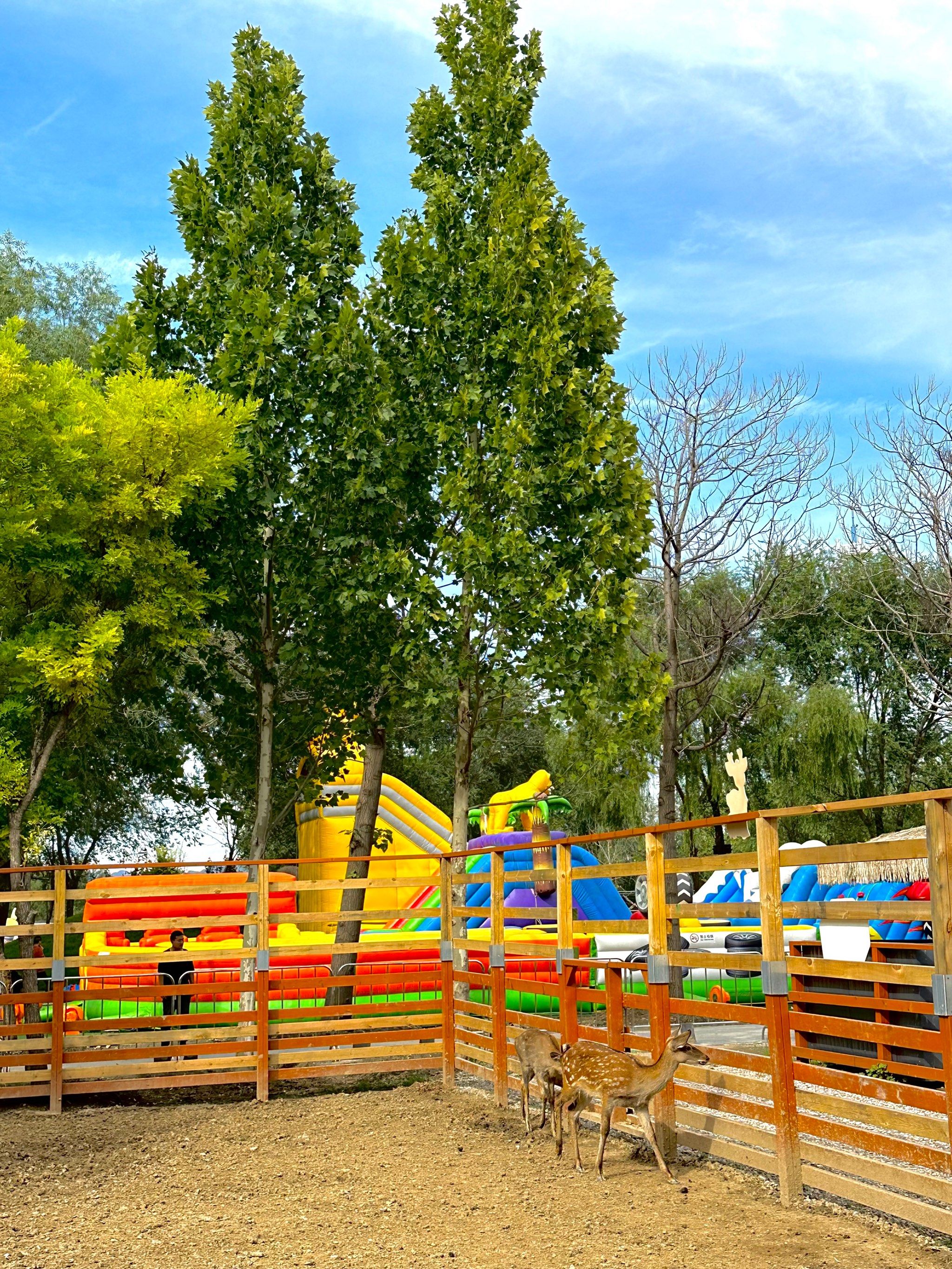 昌平的小奈良,我给找到了!