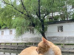 -西园戒幢律寺