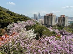 -小南山公园