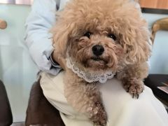 -宠福鑫动物医院(城北分院)