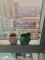 -爱玛家国际母婴月子会所(电力大厦店)