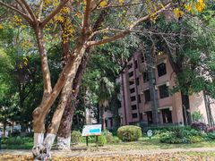 -四川大学(望江校区)