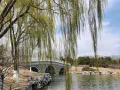 -大兴滨河森林公园