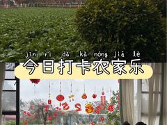 -洪湖家庭农场·团建·露营·会议