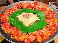 辣酱八爪鱼肥牛-TAIFORKS 大福食堂·山葵烤肉料理·拌饭(宝安店)