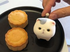 -悟白咖啡WoobyCafe