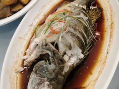 -渭塘酒家(生态园店)