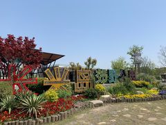 -上海长兴岛郊野公园