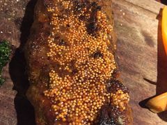 火焰芝士牛魔王-卡朋厨房(289艺术园区店)