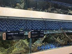 -欧记·龙城港(欣都店)