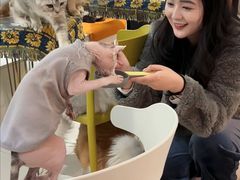-平行世界·猫咖(首经贸店)