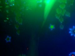 android_upload_pic-横店影视城梦幻谷园区