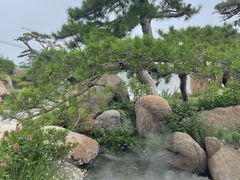 -罗红摄影艺术馆