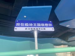 -海合安武汉极地海洋公园