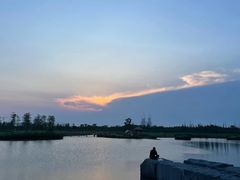 -春花秋色城市公园