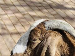 -水上乐园·欢乐世界