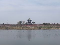 -上海海湾国家森林公园