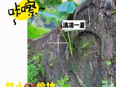 -火炉山森林公园