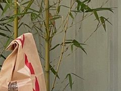-肯德基(兴隆店)