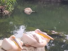 -昆明动物园