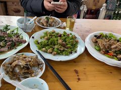 -老家黄墩小错鸡·活海鲜