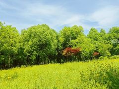 -南京市江宁方山