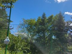 -五台山风景名胜区-罗睺寺