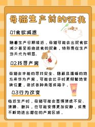 点击看大图 -神奇动物撸宠馆·羊驼·小浣熊·异宠(豫园店)